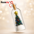 Recordable Christmas Message in a Bottle